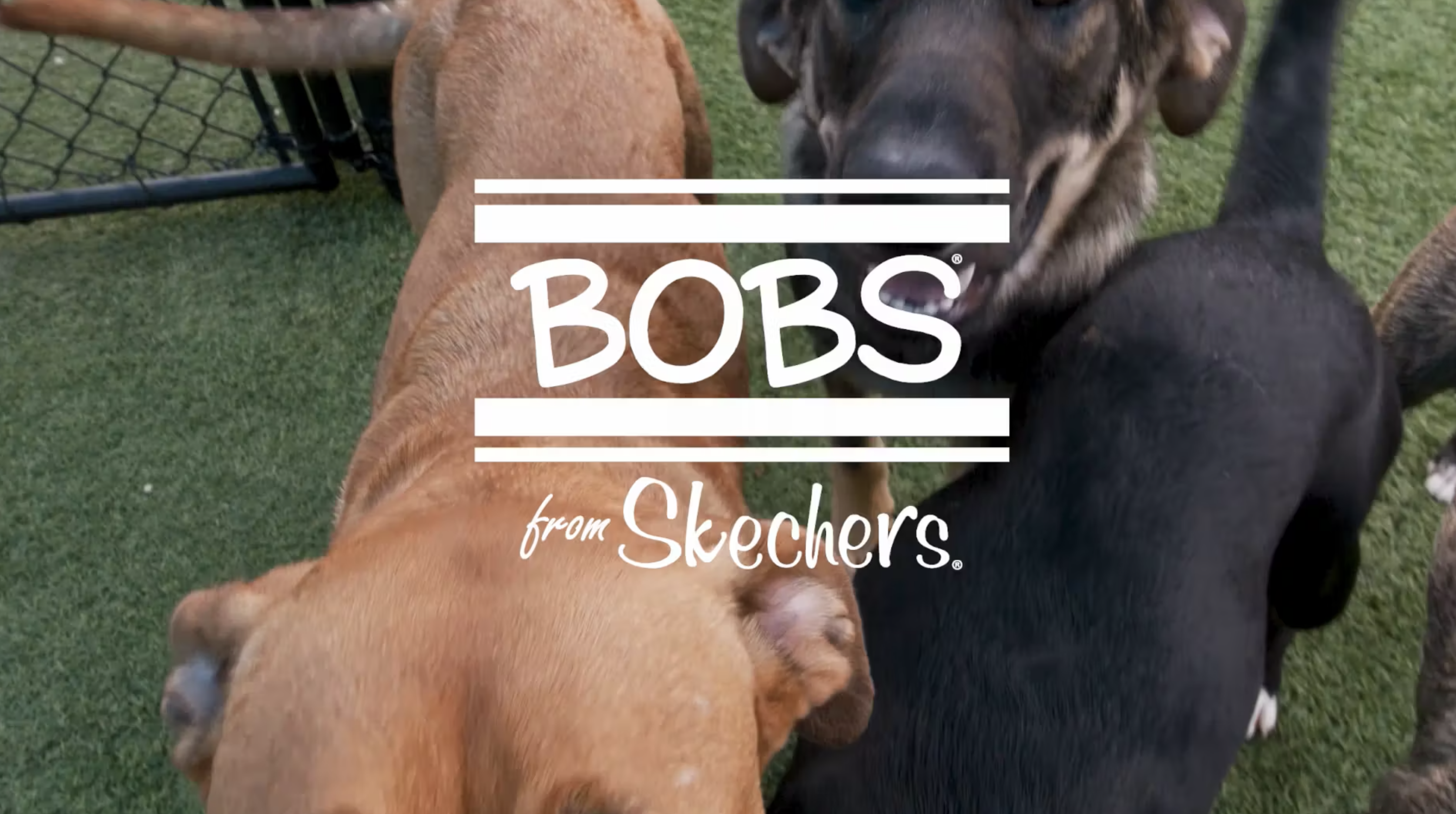 BOBS Charity SKECHERS